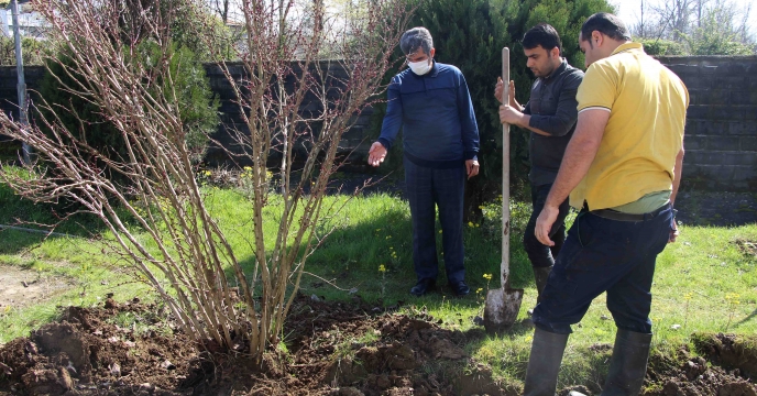 گرامیداشت روز درختکاری و ترویج فرهنگ منابع طبیعی از طریق کارگزاری های توزیع نهاده های کشاورزی گیلان