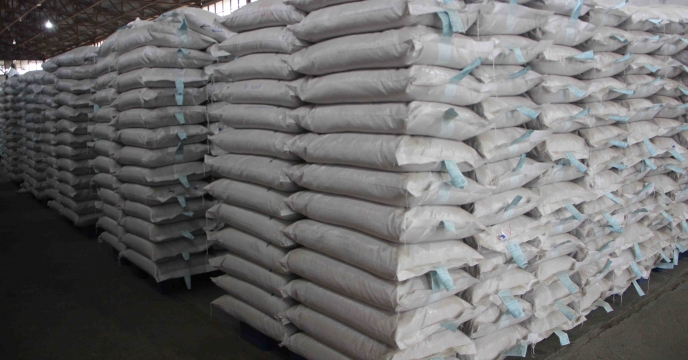 توزیع  500 تن بذر برنج رقم هاشمی توسط اتحادیه شرکتهای تعاونی روستایی 