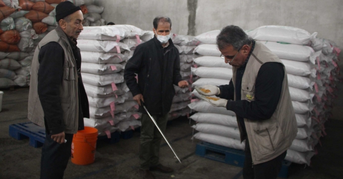 نمونه برداری از بذر های پازت چینی شده توسط نماینده محترم موسسه تحقیقات تبت و گواهی بذر