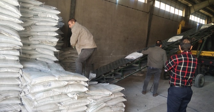 تامین و توزیع بیش از 3 هزار تن انواع کود کشاورزی در شهرستان ماهنشان 