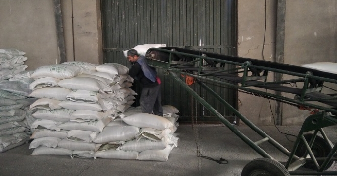 تخلیه 100 تن کود اوره در انبار شرکت خدمات حمایتی کشاورزی استان زنجان