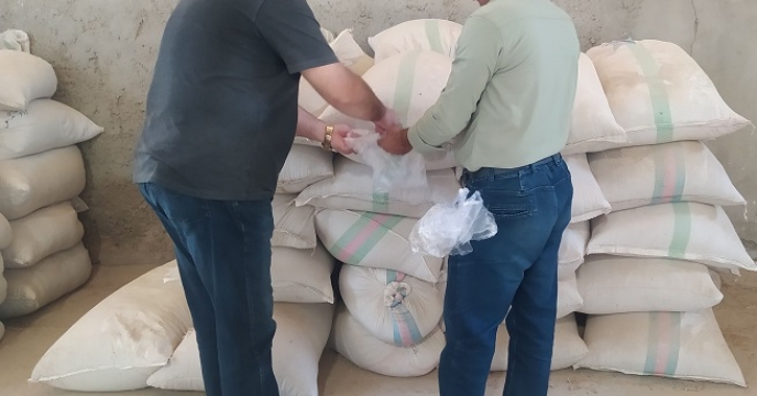 نمونه برداری مواد حاصل از بوجاری توسط مسئول بذر 