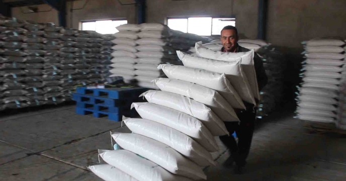 تخصیص 102تن بذر اصلاح و گواهی شده برنج ارقام هاشمی و شیرودی برای شهرستان تالش