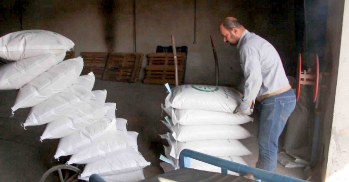 تخصیص 95تن بذر اصلاح و گواهی شده برنج رقم هاشمی برای شهرستان آستانه اشرفیه"