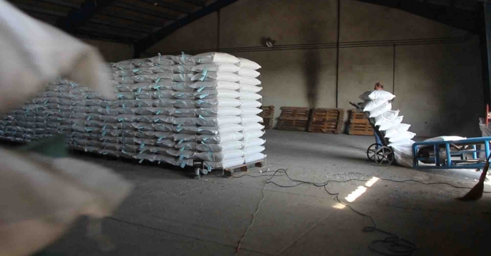 توزیع 13000 کیلوگرم بذر برنج رقم هاشمی در شهرستان آستانه اشرفیه استان گیلان