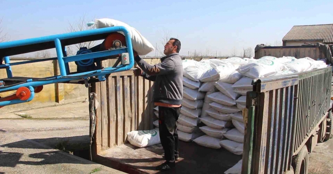 توزیع بذر برنج رقم هاشمی گواهی شده در فروردین ماه شهرستان بندرانزلی استان گیلان