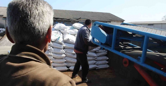 توزیع بذر برنج رقم هاشمی گواهی شده در فروردین ماه شهرستان صومعه سرا  استان گیلان