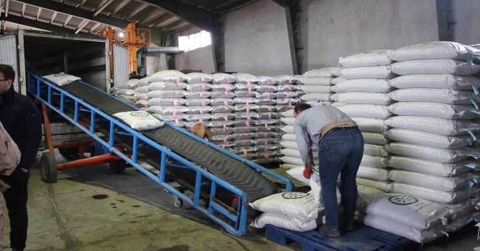 تخصیص 200تن بذر اصلاح و گواهی شده برنج رقم هاشمی برای شهرستان رشت