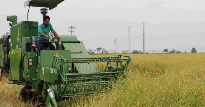 رشد 21درصدی نشاء مکانیزه برنج در استان مازندران
