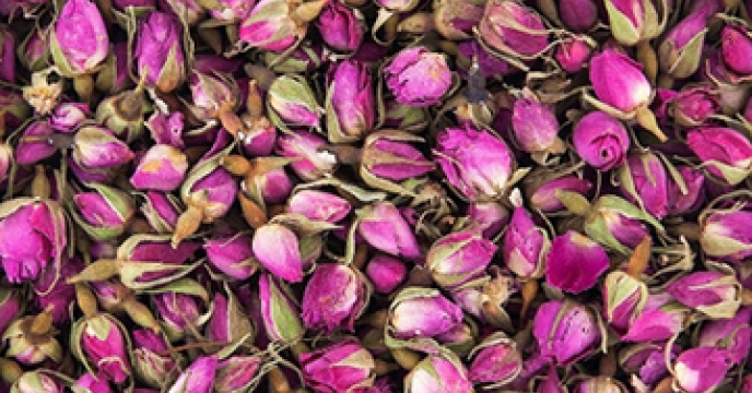 صادرات غنچه گل محمدی به هندوستان