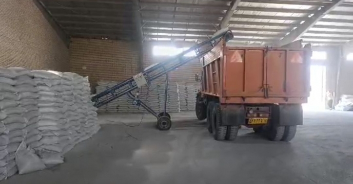 توزیع ۶۲۴۵ تن انواع کودهای کشاورزی در شهرستان دشتستان