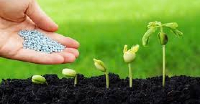 تا پایان دی ماه میزان 134 هزار تن انواع کود فسفات در سطح کشور مصرف شده است