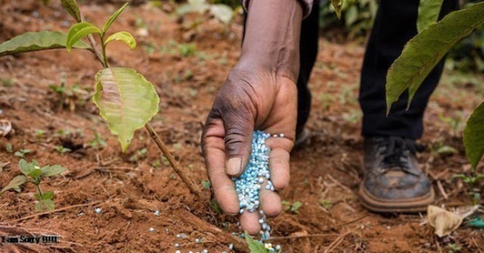 تقویت وحفظ کیفیت خاک با توزیع 2077تن کود فسفات در 9ماهه سال جاری 