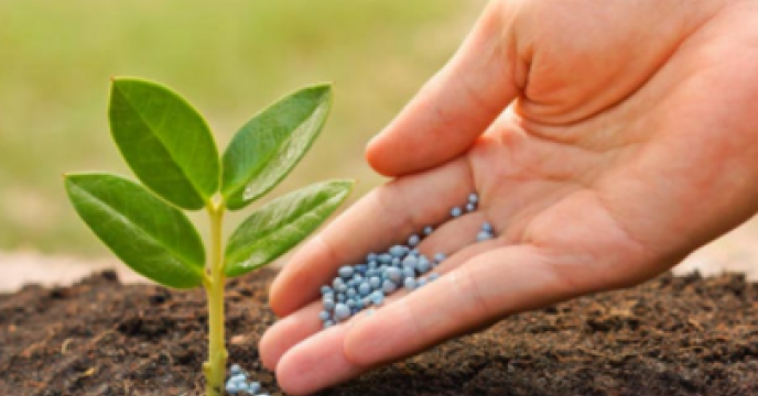 تلفیق کودهای کشاورزی فسفاته بیولوژیک و شیمیایی