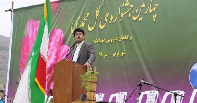 جشنواره ملی گلابگیری گل محمدی در مازندران