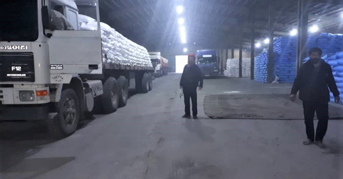توزیع 250 تن سولفات آمونیوم در استان آذربایجان غربی
