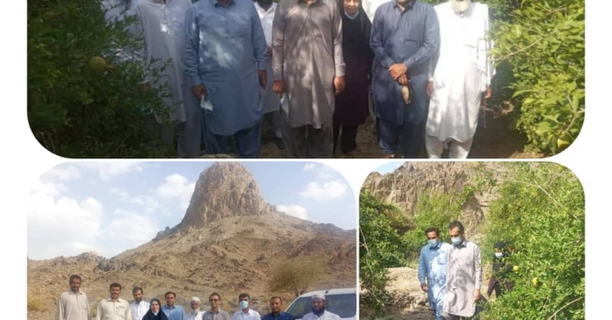 بازدید  قائم مقام  رئیس  سازمان جهاد کشاورزی در طرح انتقال آب با لوله  دشت  سیستان 