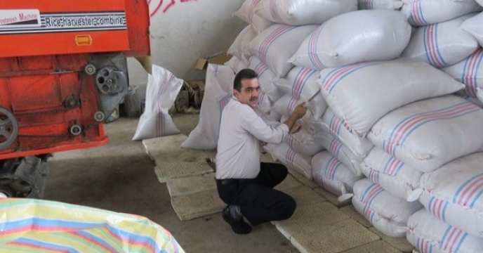آغاز نمونه برداری از بذر شلتوک برنج در  استان مازندران