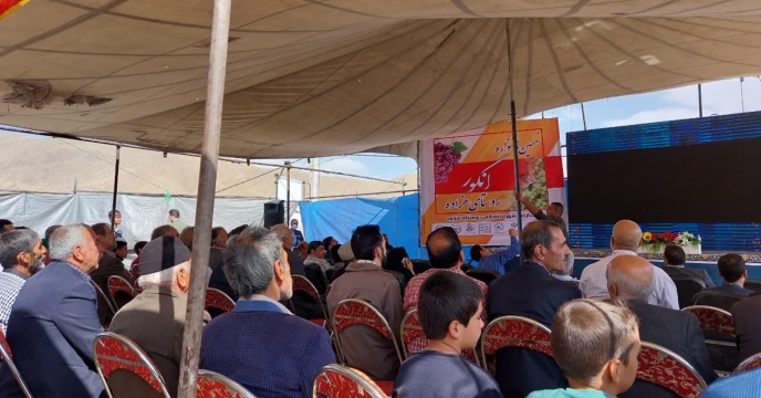 برگزاری نهمین  جشنواره انگور در روستای هزاوه از استان مرکزی  