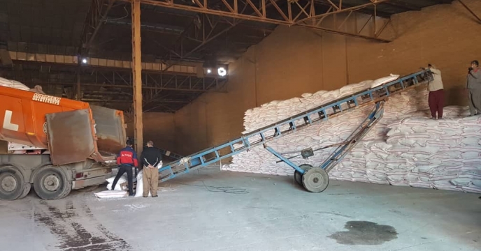 توزيع محلول ضدعفونی و ماسک در شرکت خدمات حمایتی کشاورزی استان قزوین