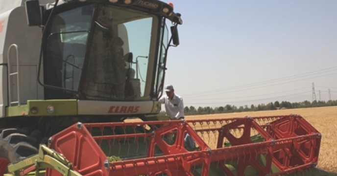 برداشت مکانیزه برنج در محمودآباد استان مازندران