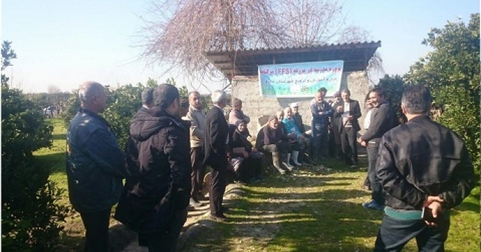 برگزاری آموزش به صورت مدرسه در مزرعه در مرکز استان مازندران