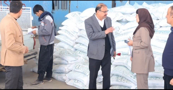 نظارت میدانی مدیر شرکت خدمات حمایتی کشاورزی استان کرمان بر توزیع کود یارانه‌ای در سیرجان