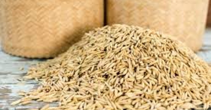 توزیع 10000 کیلوگرم بذر برنج از طریق کارگزاری امیری در بهشهر