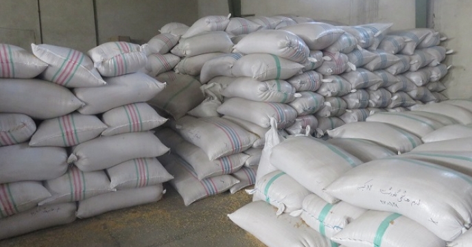هماهنگی با مرکز تحقیقات جهت بذر شلتوک برنج در استان مازندران