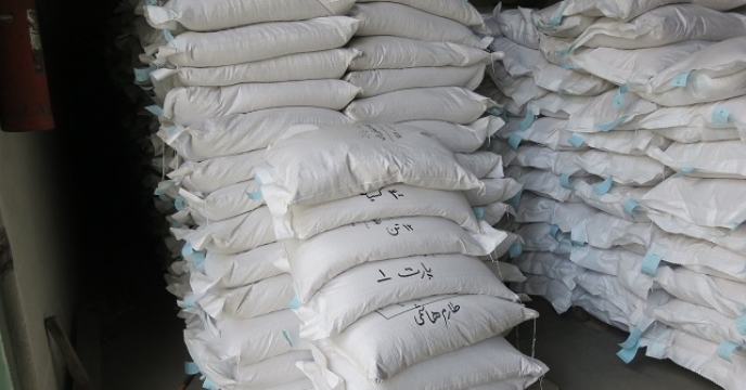 خرید 233 تن شلتوک برنج بذری در  استان مازندران
