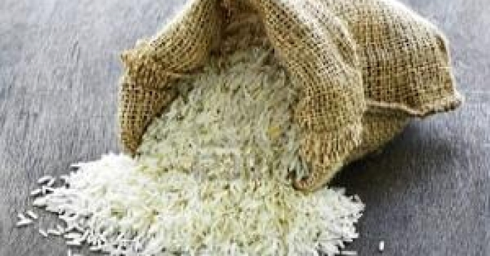 برداشت 99 درصدی برنج در  استان مازندران