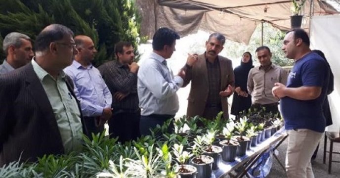 برپایی جشنواره گل و گیاه در بابل استان مازندران 