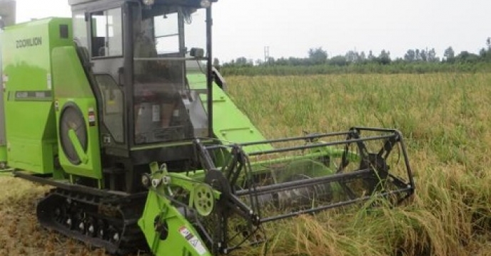 برداشت مکانیزه برنج در 8 هزار هکتار از شالیزارهای قائم شهر مازندران