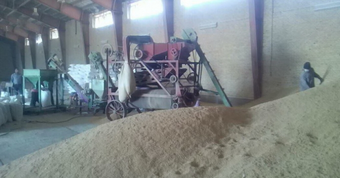 آغاز عملیات بوجاری۷۴۵۰۰۰ کیلوگرم انواع بذور گندم وجو در استان کرمان