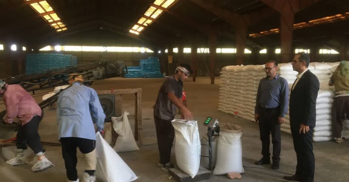 بازدید مدیر شرکت خدمات حمایتی کشاورزی استان گلستان از وضعیت کیسه گیری کود سوپر فسفات تریپل 