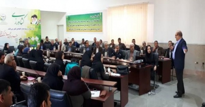 کارگاه آموزشی معرفی رقم جدید برنج در استان مازندران