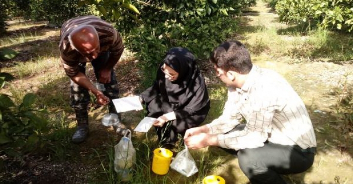 کارگاه آموزش مبارزه با آفت مگس مدیترانه ای در مازندران
