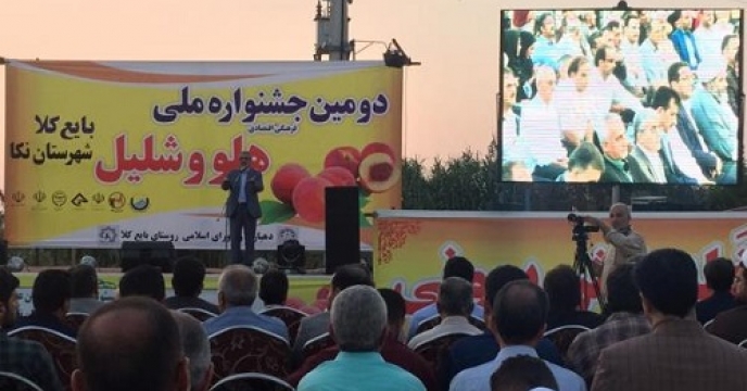 دومین جشنواره ملی هلو و شلیل در استان مازندران 