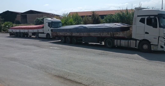 تامین  بیش از 88 هزارتن انواع کود کشاورزی یارانه ای در هشت ماهه سال جاری