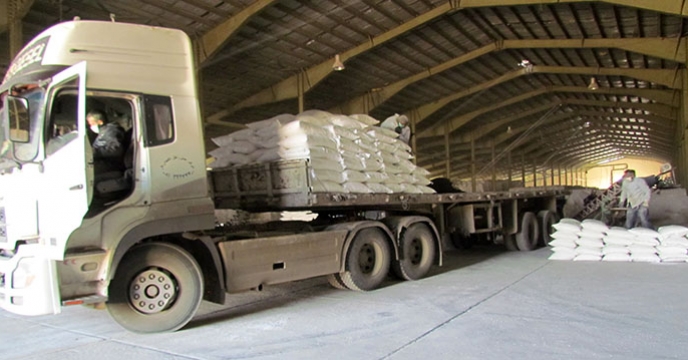 توزیع بیش از 5000 تن کود فسفات در همدان توسط شرکت خدمات حمایتی کشاورزی 