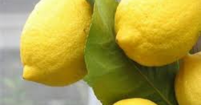 تامین کود برای باغات لیمو در مازندران