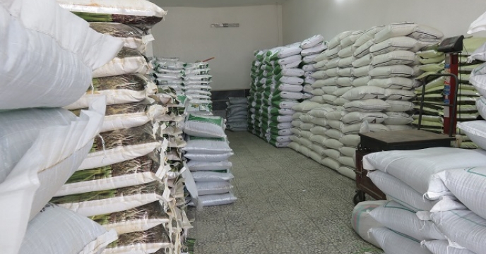 توزیع 742 تن کود کشاورزی در جویبار