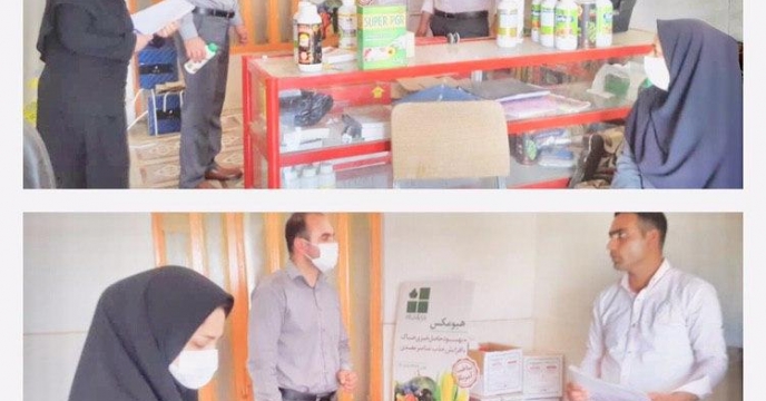 نظارت بر فروشگاههای  فروش   کود های  ریزمغذی خارج  از شبکه کارگزاری های  شرکت خدمات حمایتی کشاورزی استان گلستان