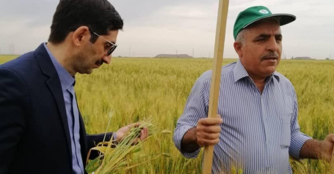 شرکت خدمات حمایتی کشاورزی استان گلستان تعطیل  نیست