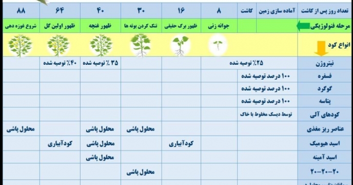 توزیع  کودهای کشاورزی پنبه در سبد کودی غیر یارانه ای شرکت خدمات حمایتی کشاورزی استان گلستان