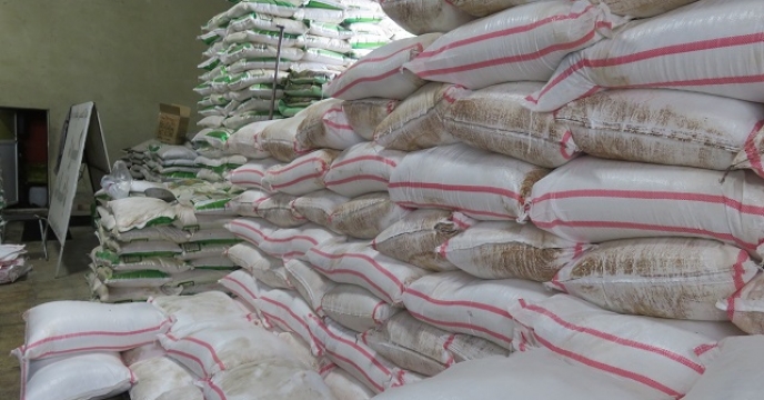 تامین کود برای 9 بانک نشاء برنج در نکا مازندران