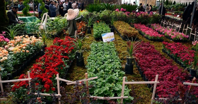 تولید سالانه 400 میلیون انواع گل و گیاهان زینتی در استان مازندران