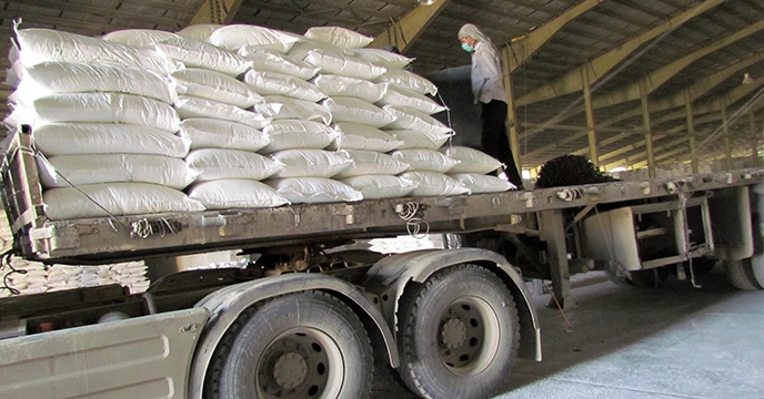 تأمین 830 تن کود کلرور پتاسیم توسط شرکت خدمات حمایتی کشاورزی در راستای تقویت تخصصی محصولات استراتژیک در همدان