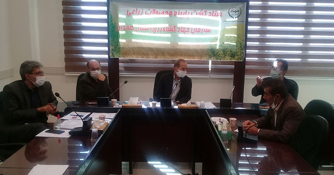جلسه ستاد کشت های پائیزه محصولات زراعی استان همدان 