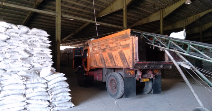 تامین و توزیع 5 تن کود شیمیایی سولفات پتاسیم درشهرستان کبودرآهنگ